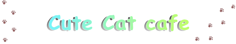 Cute Cat Cafe